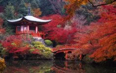 Autumn foliage around a traditional Japanese pagoda beside a red bridge over a pond