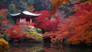 Autumn foliage around a traditional Japanese pagoda beside a red bridge over a pond
