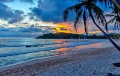 Scenic landscape representing Sri Lanka’s natural beauty and cultural richness.